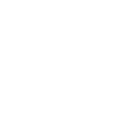 Rossini Ladeanimation